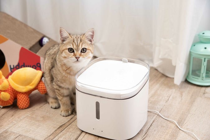 Fontana per gatti smart Xiaomi