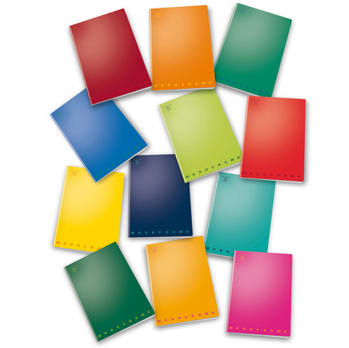 Maxiquaderno A4 40Fg+2 80Gr 1Rigo C/Marg Monocromo Pigna