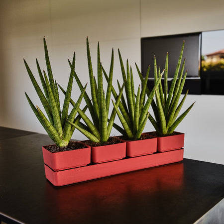 Vaso "Sierra" in Plastica da esterno e giardino per piante e fiori
