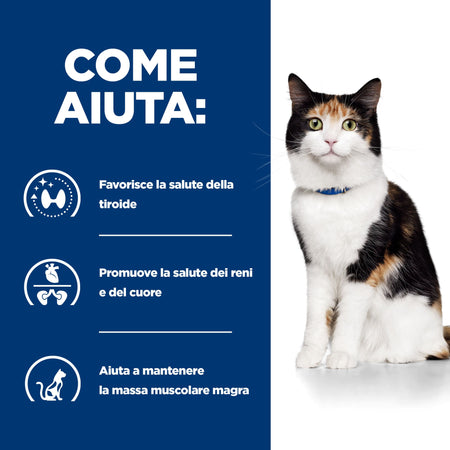 Hill's Prescription Diet Y/D Thyroid Care secco Gatti Adulti 1,5 kg