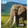 Epson Multipack 6 colori T24 Claria Photo HD in confezione Easy Mail Packaging (Epson 24 Elephant Black Cyan Light Cyan Light Magenta Magenta Yellow Standard Capacity Ink Multipack 5.1ml + 5 x 4.6ml