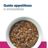 Hill's Prescription Diet Gastrointestinal Biome umido Gatti Adulti pollo e verdure 82 gr