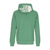 THE NORTH FACE Felpa Leggera Cappuccio Uomo Seasonal Drew Peak Pullover Light Deep Grass Green da uomo
