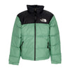 THE NORTH FACE Piumino Uomo 1996 Retro Nuptse Deep Grass Green da uomo