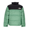 THE NORTH FACE Piumino Uomo 1996 Retro Nuptse Deep Grass Green da uomo