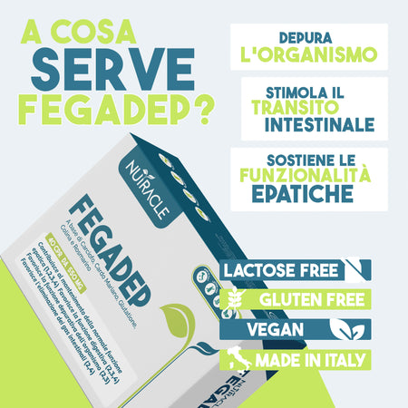 fegadep-1