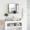 Specchiera Bagno con Luci LED Regolabili, 2 Ante e Mensola Regolabile, 70x15x65cm, Marrone YH9834-442YH9