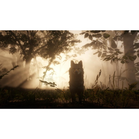 Red Dead Redemption 2 PS4 ES
