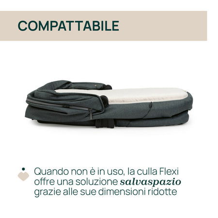 07087137330000_733_087137_733_BELLAGIO_FLEXI_CARRYCOT_Fir_Tree_IT4_1280x1280