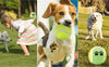 3-Pezzi-Palla-da-Tennis-Giocattolo-per-Cani-Animali-Domestici-Zorei