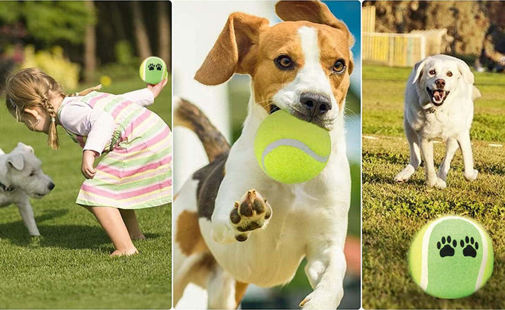 3-Pezzi-Palla-da-Tennis-Giocattolo-per-Cani-Animali-Domestici-Zorei