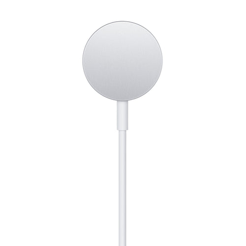Apple Cavo Magnetico Ricarica Apple Watch USB-A 1m MW6A3ZM/A