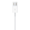 Apple Cavo Magnetico Ricarica Apple Watch USB-A 1m MW6A3ZM/A