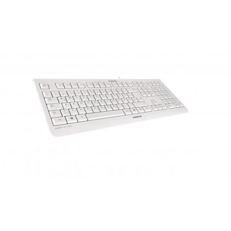 CHERRY KC 1000 tastiera USB QWERTY Inglese UK Grigio