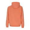 STAPLE Felpa Leggera Cappuccio Uomo Acme Corp Hoodie Terra Cotta da uomo