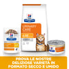 Hill's Prescription Diet Multicare umido Gatti Adulti pollo e verdure 82 gr