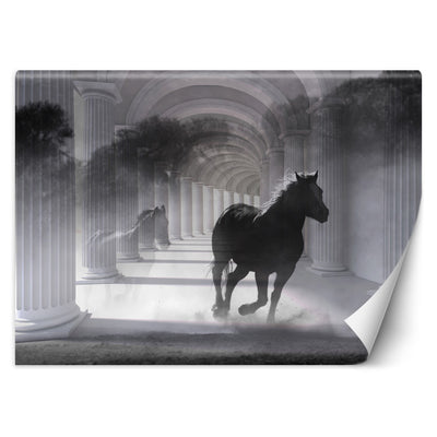Carta Da Parati, Cavallo Tunnel 3D Colonne Grigio