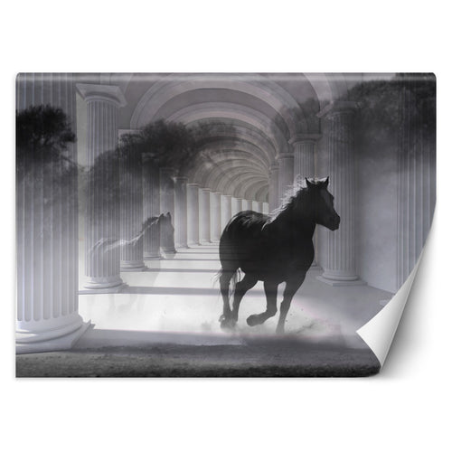 Carta Da Parati, Cavallo Tunnel 3D Colonne Grigio