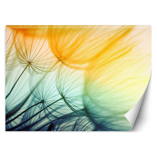 Carta Da Parati, Dente di leone colorato astratto