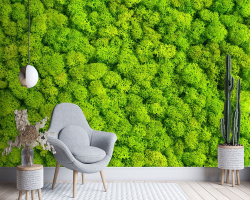 Carta Da Parati, Muschio Natura Texture