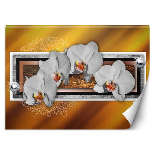 Carta Da Parati, Geometria e orchidee