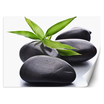 Carta Da Parati, Pietre Zen Spa
