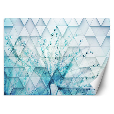 Carta Da Parati, Dente di leone in gocce di rugiada