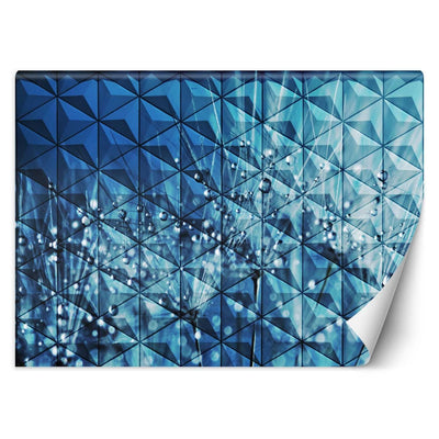 Carta Da Parati, Tarassaco 3d Gocce di rugiada