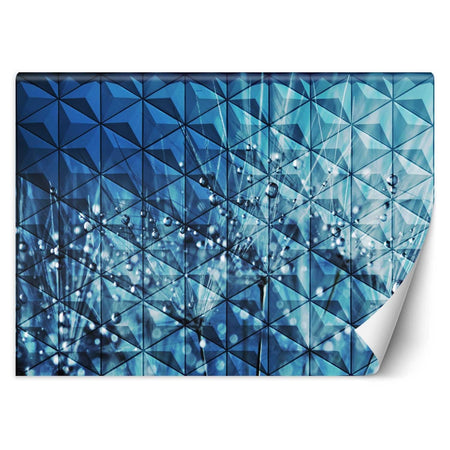 Carta Da Parati, Tarassaco 3d Gocce di rugiada