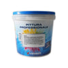 Skudo 14lt idro pittura quarzo acrilica grana fine alta copertura
