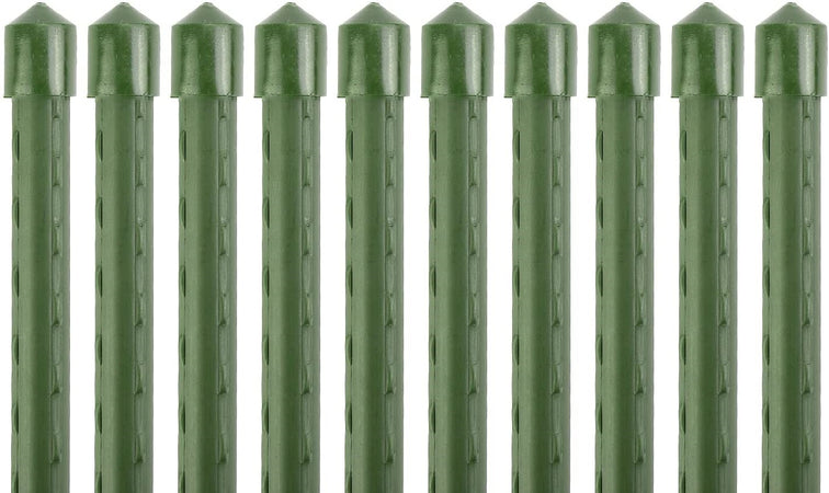 CANNA IN ACCIAIO PLASTIFICATA - mm.11x2100h. -PIABTE ORTAGGI PZ 50 FER 256322