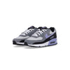 Nike Scarpa Bassa Uomo Air Max 90 Photon Dust/light Thistle/cool Grey da uomo