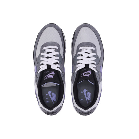 Nike Scarpa Bassa Uomo Air Max 90 Photon Dust/light Thistle/cool Grey da uomo