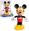 Topolino Nuotatore