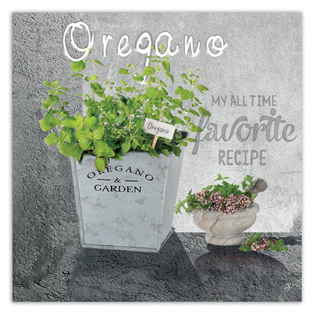 Quadro su tela, Spezie di cucina di origano