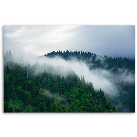 Quadro su tela, Foresta nella nebbia