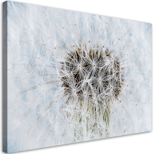 Quadro su tela, Dandelion di fiori bianchi