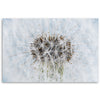 Quadro su tela, Dandelion di fiori bianchi