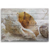 Quadro su tela, Conchiglie in stile vintage
