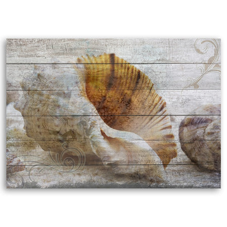 Quadro su tela, Conchiglie in stile vintage