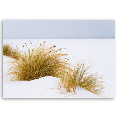 Quadro su tela, Dune su sabbia dorata