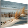 Quadro su tela, Dune by the mare
