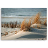 Quadro su tela, Dune by the mare