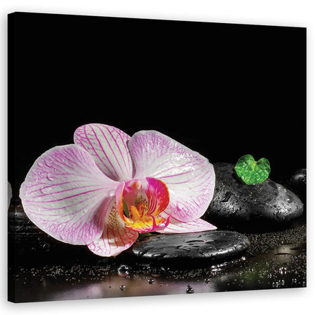 Quadro su tela, Uno zen in fiore di orchidea