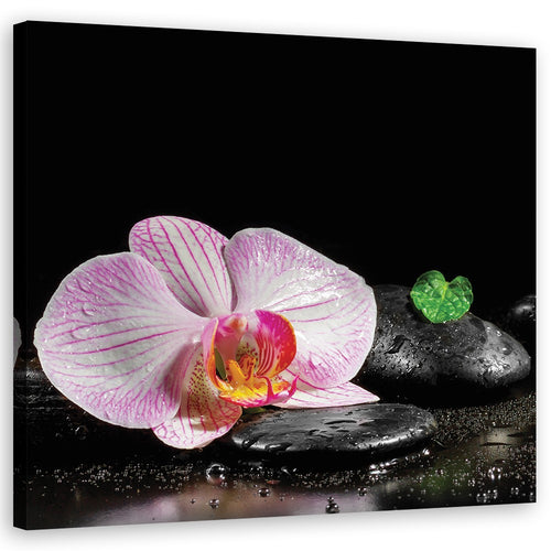 Quadro su tela, Uno zen in fiore di orchidea