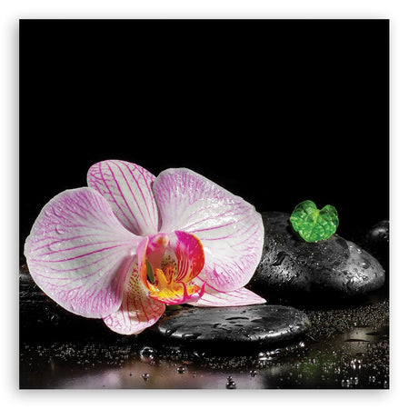 Quadro su tela, Uno zen in fiore di orchidea