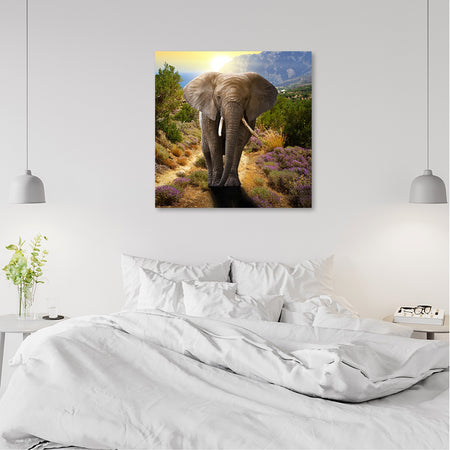 Quadro su tela, Elefante al tramonto