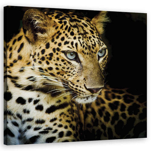 Quadro su tela, Leopardo maestoso
