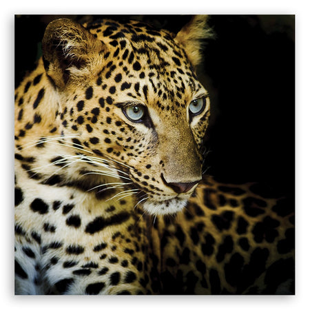 Quadro su tela, Leopardo maestoso