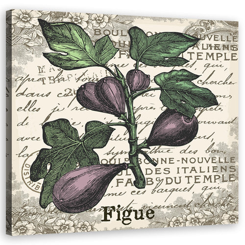 Quadro su tela, Fichi vintage